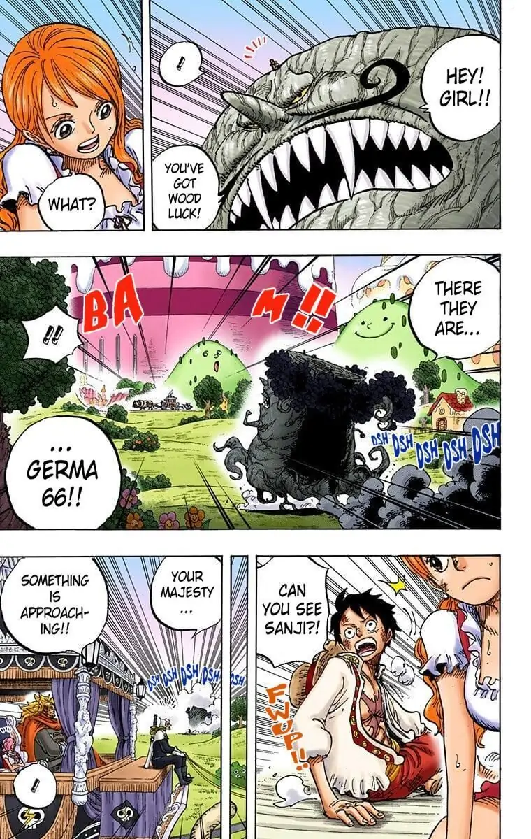 One Piece Digital Colored Chapter 843 image 12
